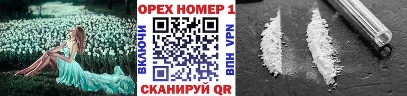 Купить Златоуст Кокаин Эквадор