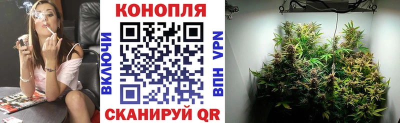 Купить закладки Златоуст МАРИХУАНА сатива